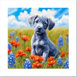 Blue Lacy Puppy in Texas Wildflower Field Posters and Art